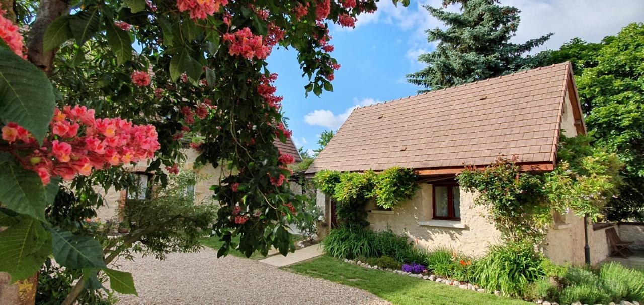 Domaine Des Medards Lejlighed Beaulieu-sur-Loire Eksteriør billede